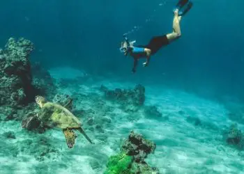 Planificador de vacaciones en Hawái 31 Principales actividades y atracciones de Maui
