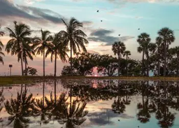 Planificador de vacaciones en Florida 82 Cayos de Florida: escapada inolvidable de un día