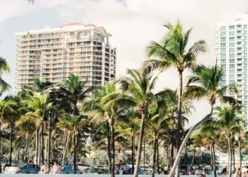 Planificador de vacaciones en Florida 88 Dónde hospedarse en Miami