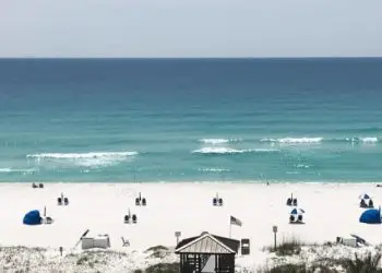 Planificador de vacaciones en Florida 85 Las mejores playas de la costa del golfo de Florida