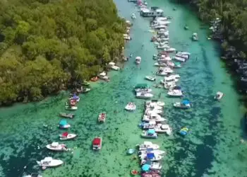Planificador de vacaciones en Florida 99 Cosas que hacer en el Bosque Nacional de Ocala, Florida
