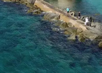 Planificador de vacaciones en Florida 113 Diversión en Palm Beach para familias