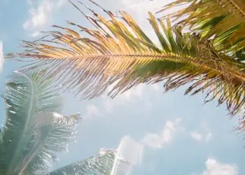 Planificador de vacaciones en Florida 131 Florida: el estado 27